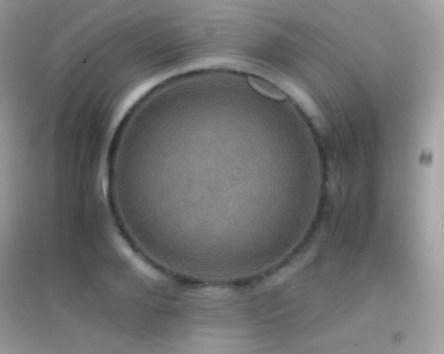 X0000095120888200712071237