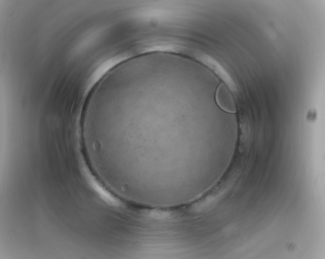 X0000095120890200712071237