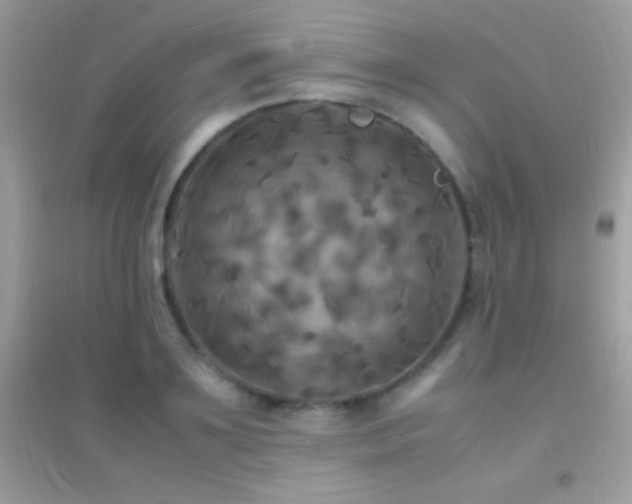 X0000095120891200712071237