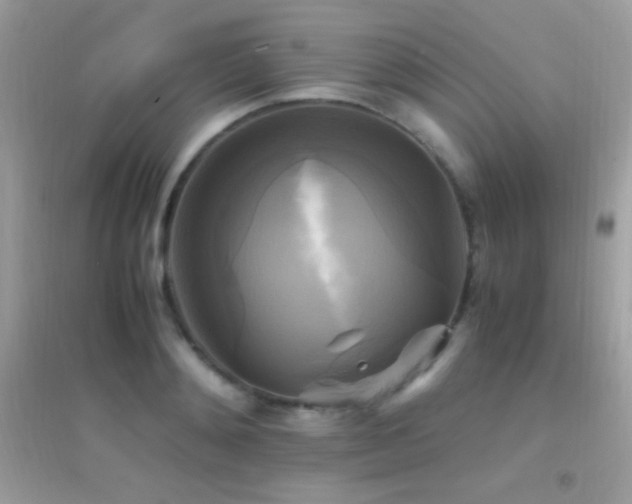 X0000095120892200712071237