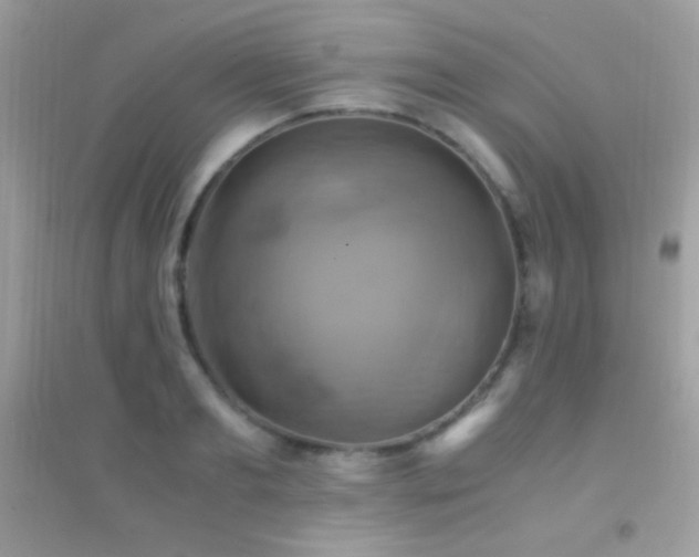 X0000095120893200712071237