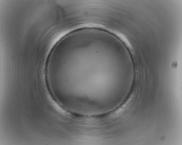 X0000095120895200712071237