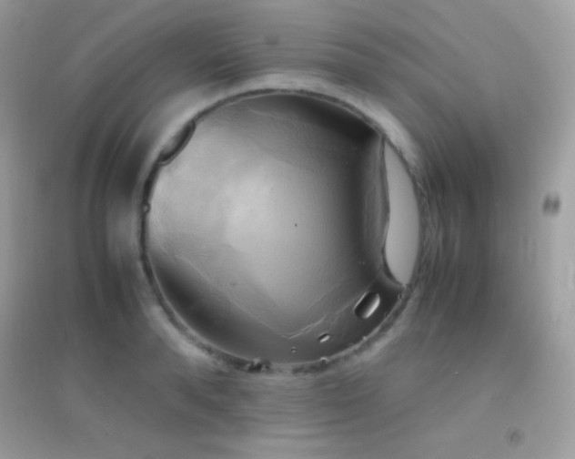 X0000095120896200712071237