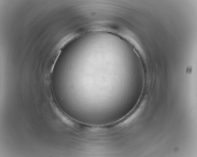 X0000095120897200712071237