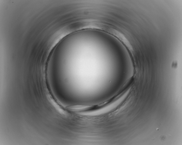 X0000095120898200712071237