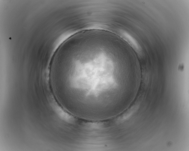X0000095120900200712071237