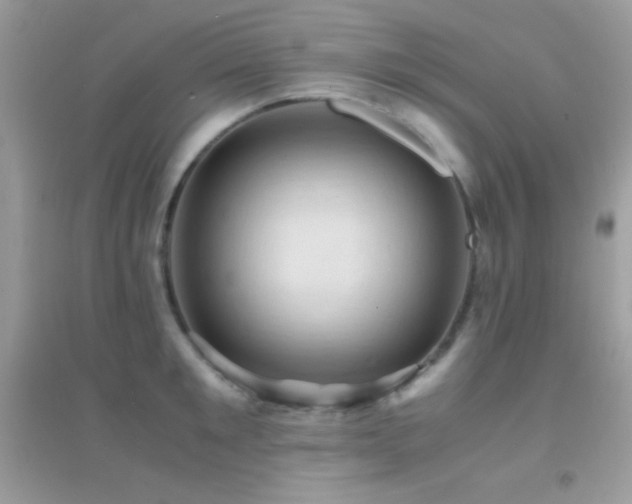 X0000095120901200712071237