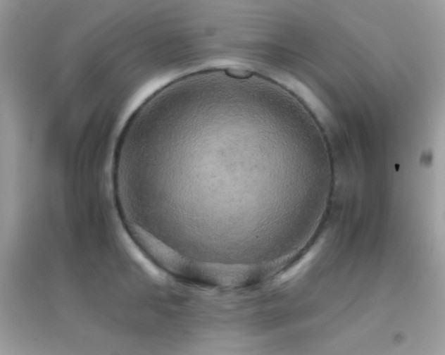 X0000095120902200712071237