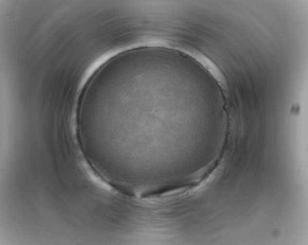 X0000095120904200712071237