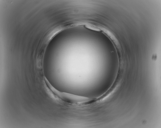 X0000095120905200712071237