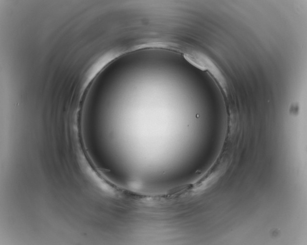 X0000095120906200712071237