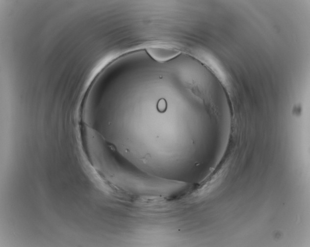 X0000095120907200712071237