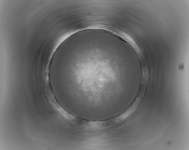 X0000095120908200712071237