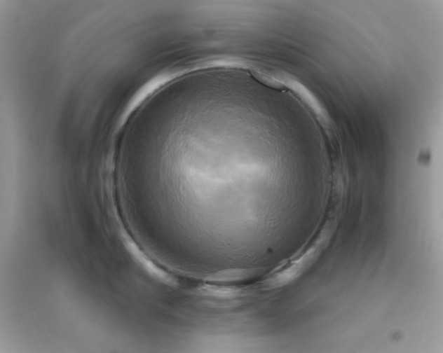 X0000095120910200712071237