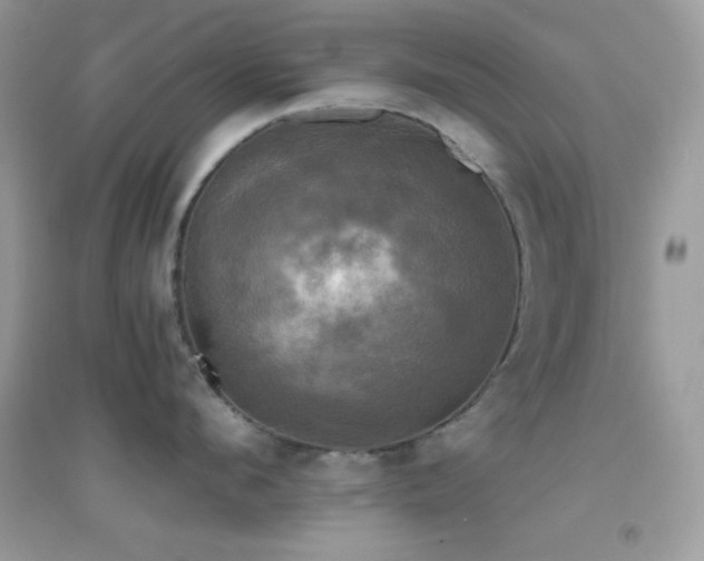 X0000095120912200712071237