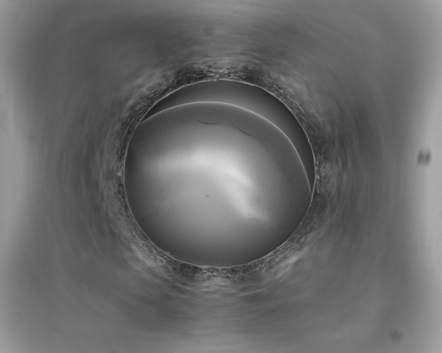 X0000095120913200712071236