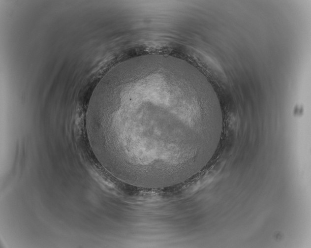 X0000095120914200712071236