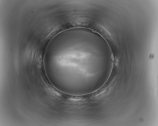 X0000095120915200712071236