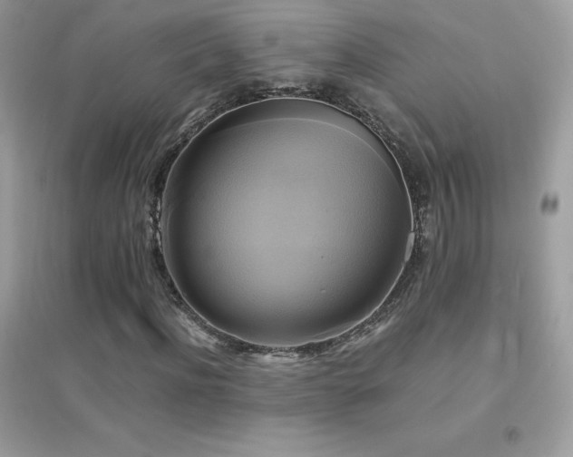 X0000095120916200712071236