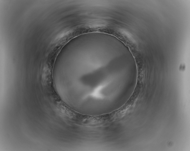 X0000095120917200712071236
