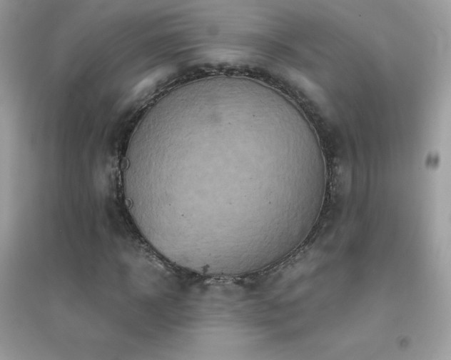 X0000095120918200712071236