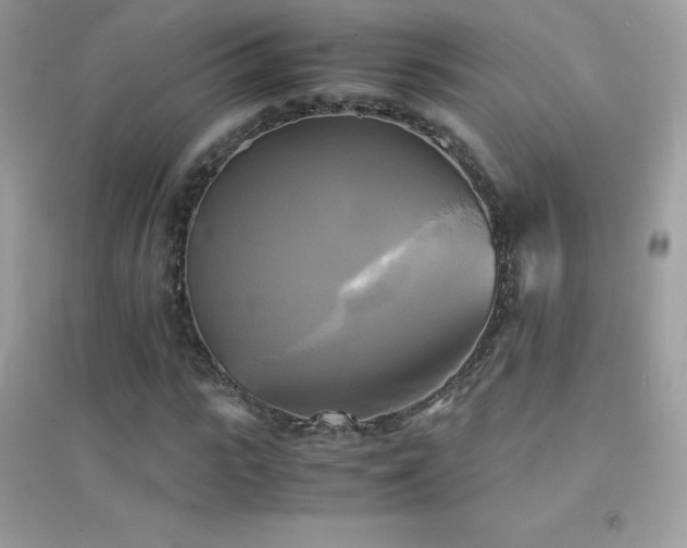 X0000095120919200712071236