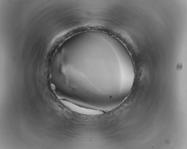 X0000095120920200712071236