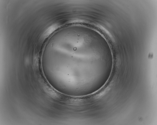 X0000095120921200712071236