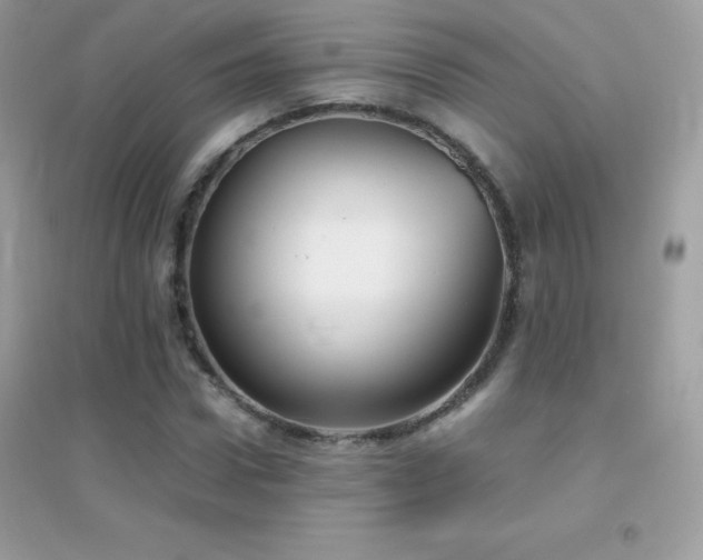 X0000095120922200712071236