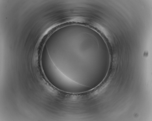 X0000095120923200712071236
