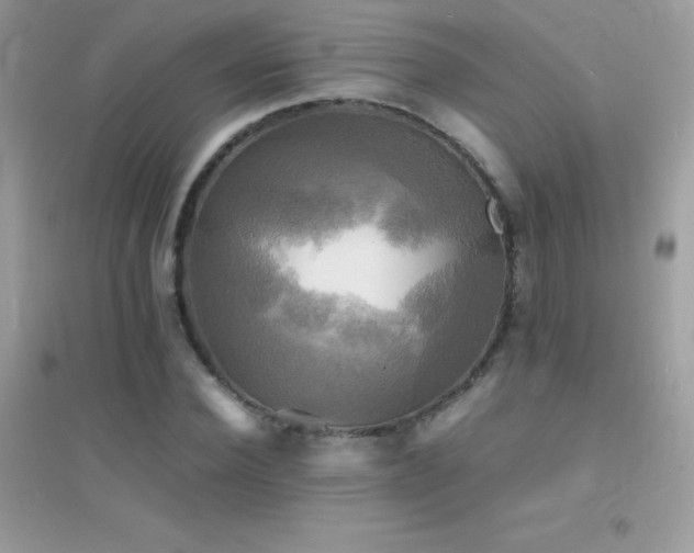 X0000095120924200712071236