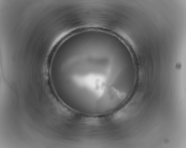 X0000095120925200712071236