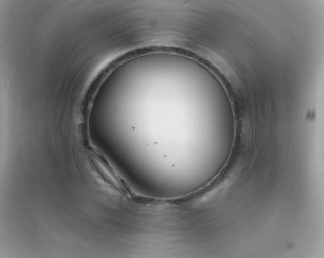X0000095120926200712071236