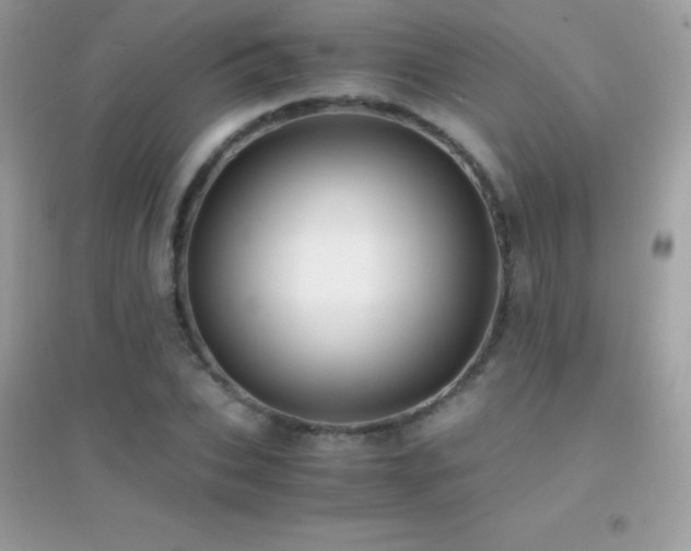 X0000095120927200712071236
