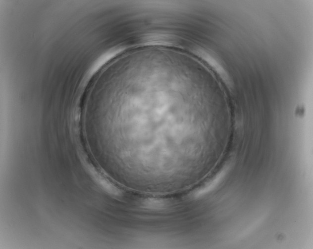 X0000095120933200712071236