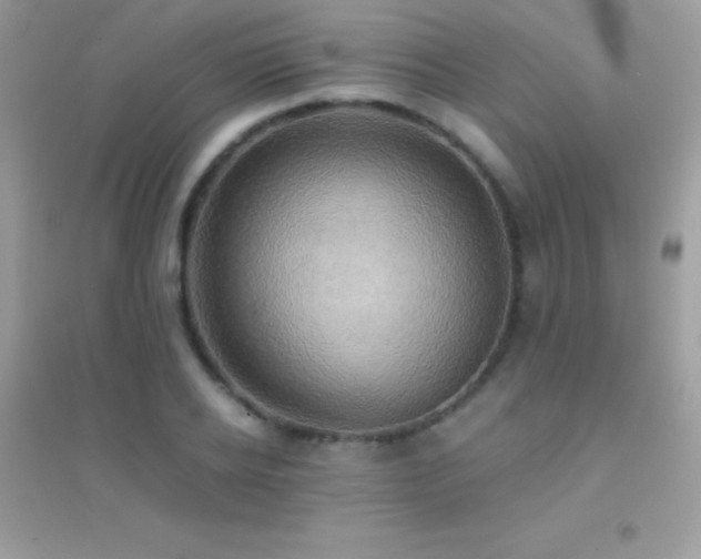X0000095120934200712071236