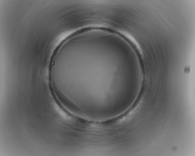 X0000095120935200712071236