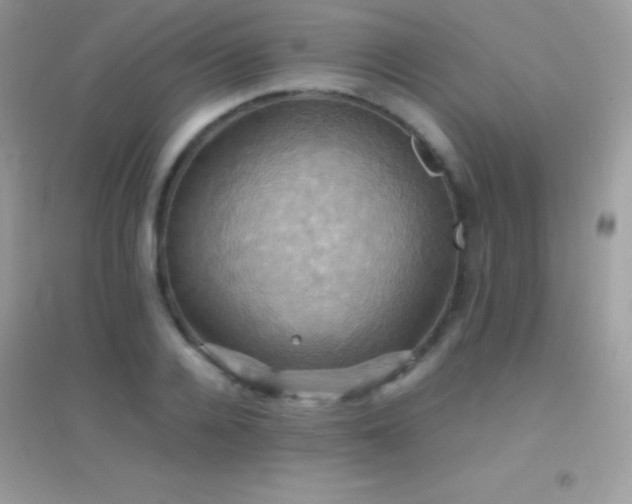 X0000095120936200712071236