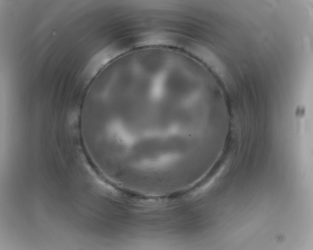 X0000095120937200712071236