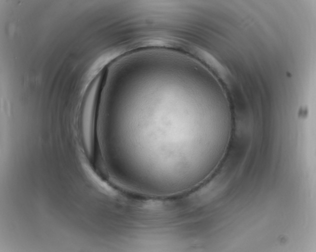 X0000095120938200712071236