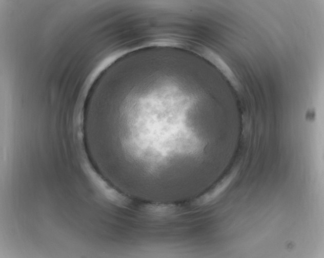 X0000095120939200712071236