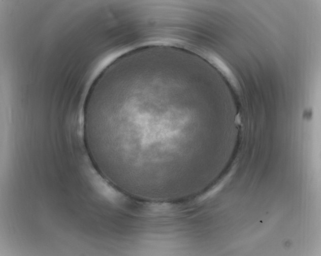 X0000095120940200712071236