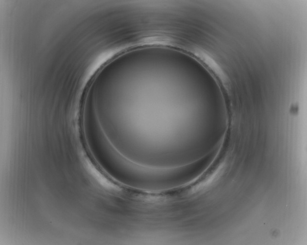 X0000095120941200712071236