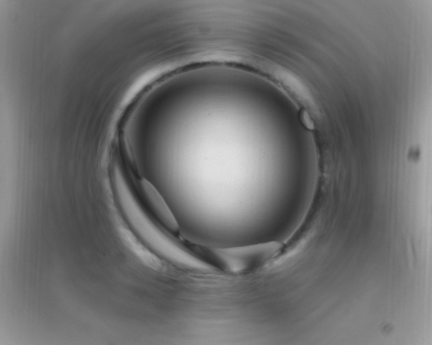 X0000095120942200712071236