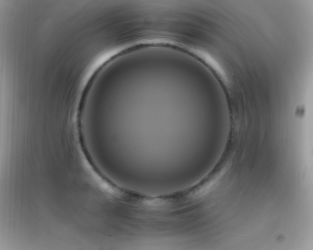 X0000095120943200712071236