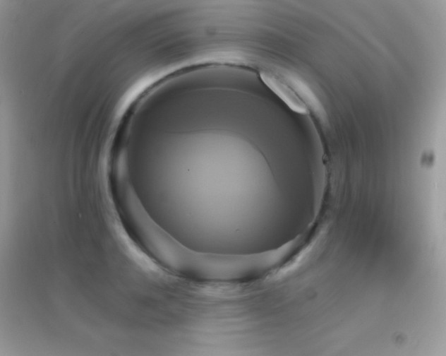 X0000095120944200712071236