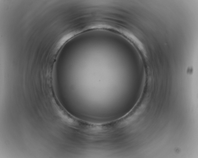 X0000095120945200712071237