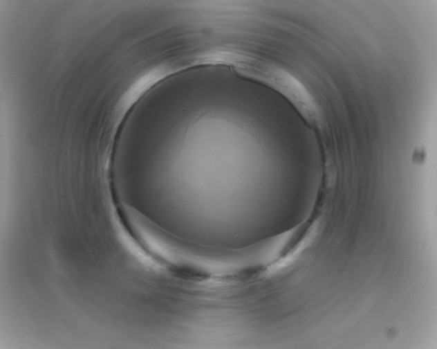X0000095120946200712071237