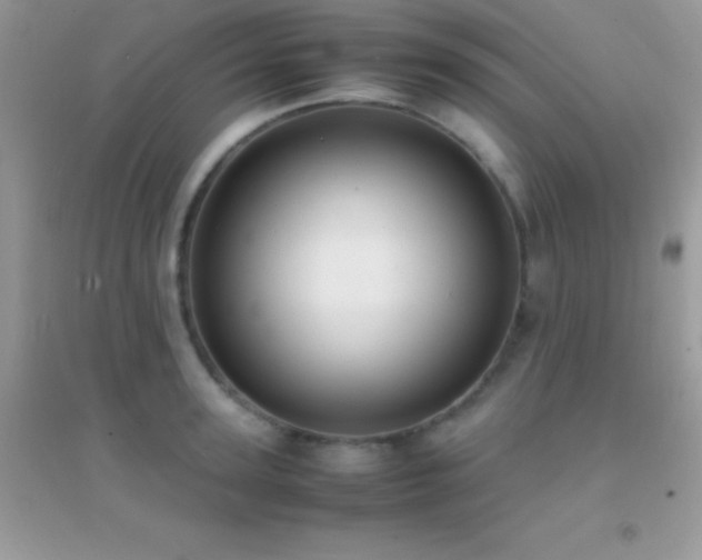 X0000095120947200712071237