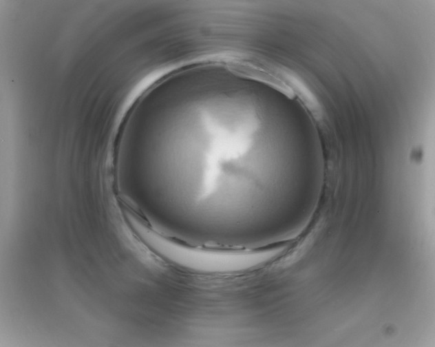 X0000095120948200712071237